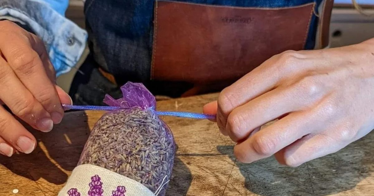 Maison De La Lavande Ardèche